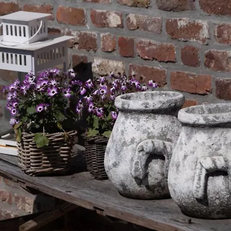 Recreatieboerderij Tergracht - Dr Huujstel Appartamento *