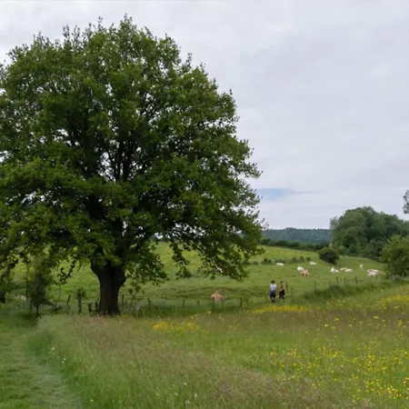 Recreatieboerderij Tergracht - Dr Huujstel Appartamento Epen
