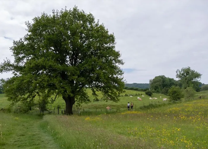 Recreatieboerderij Tergracht - Dr Huujstel Apartamento Epen